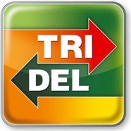 logo_tridel